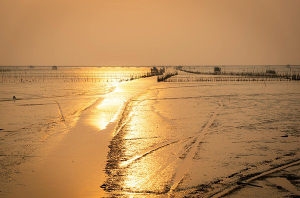 Domaine les oréades : camping en famille près d'arcachon