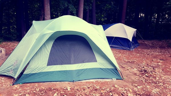 Découvrez le camping la pinède : nature et détente en drôme